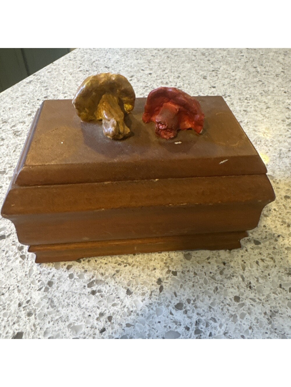 Handmade Wooden Trinket /jewelry Box With Mushrooms 3d On Top